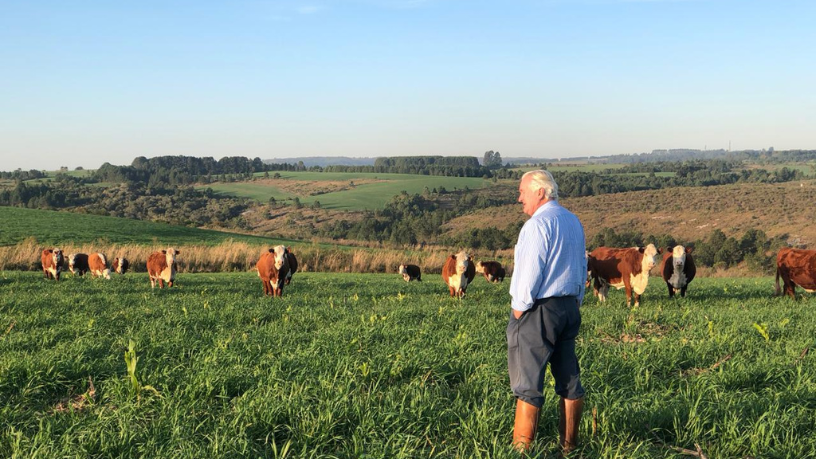Cooperativismo moderno fortalece produtores e reduz riscos operacionais, avalia Aldo Vendramin.