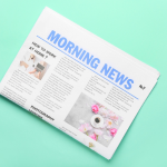 Redação Jornal Carros